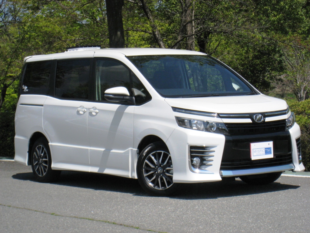 デルフィノＶＯＸＹ