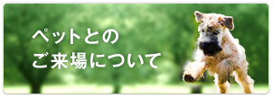 ペットとのご来場について